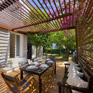 Villa Central Guest house